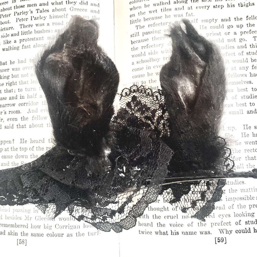 Bunny ear hair clips
